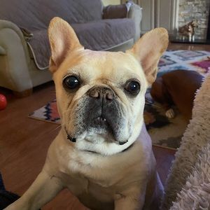 Meet your Posher, Carie